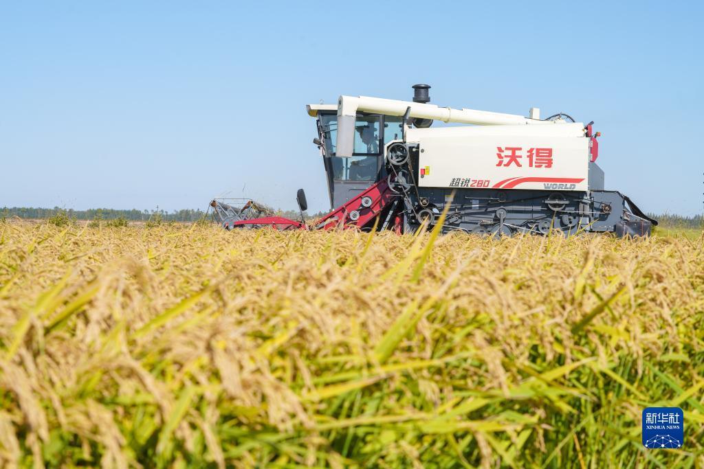 天天游戏中心大厅